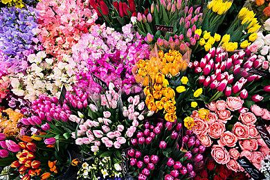 《艾尔登法环》确认不会有跑腿任务