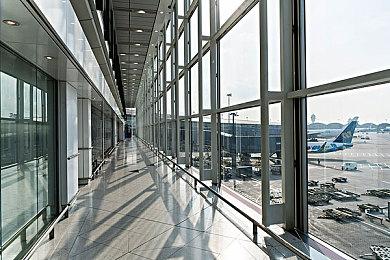 《宝可梦：朱紫》新事件7月28日开启 最强轰擂金刚猩来袭